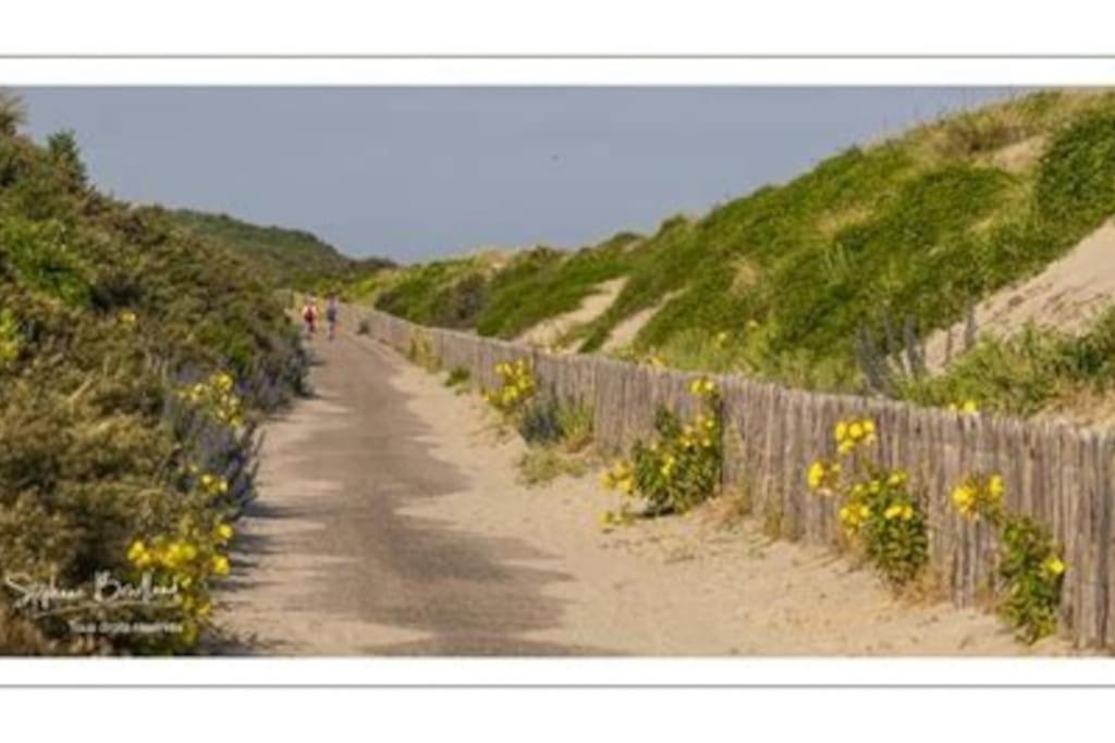 La Baigneuse Maison Avec Jardinet Et Parking Prive, A 200 M Plage Cayeux-sur-Mer Eksteriør bilde