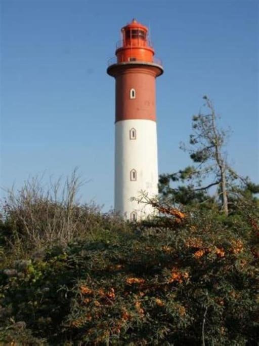 La Baigneuse Maison Avec Jardinet Et Parking Prive, A 200 M Plage Cayeux-sur-Mer Eksteriør bilde